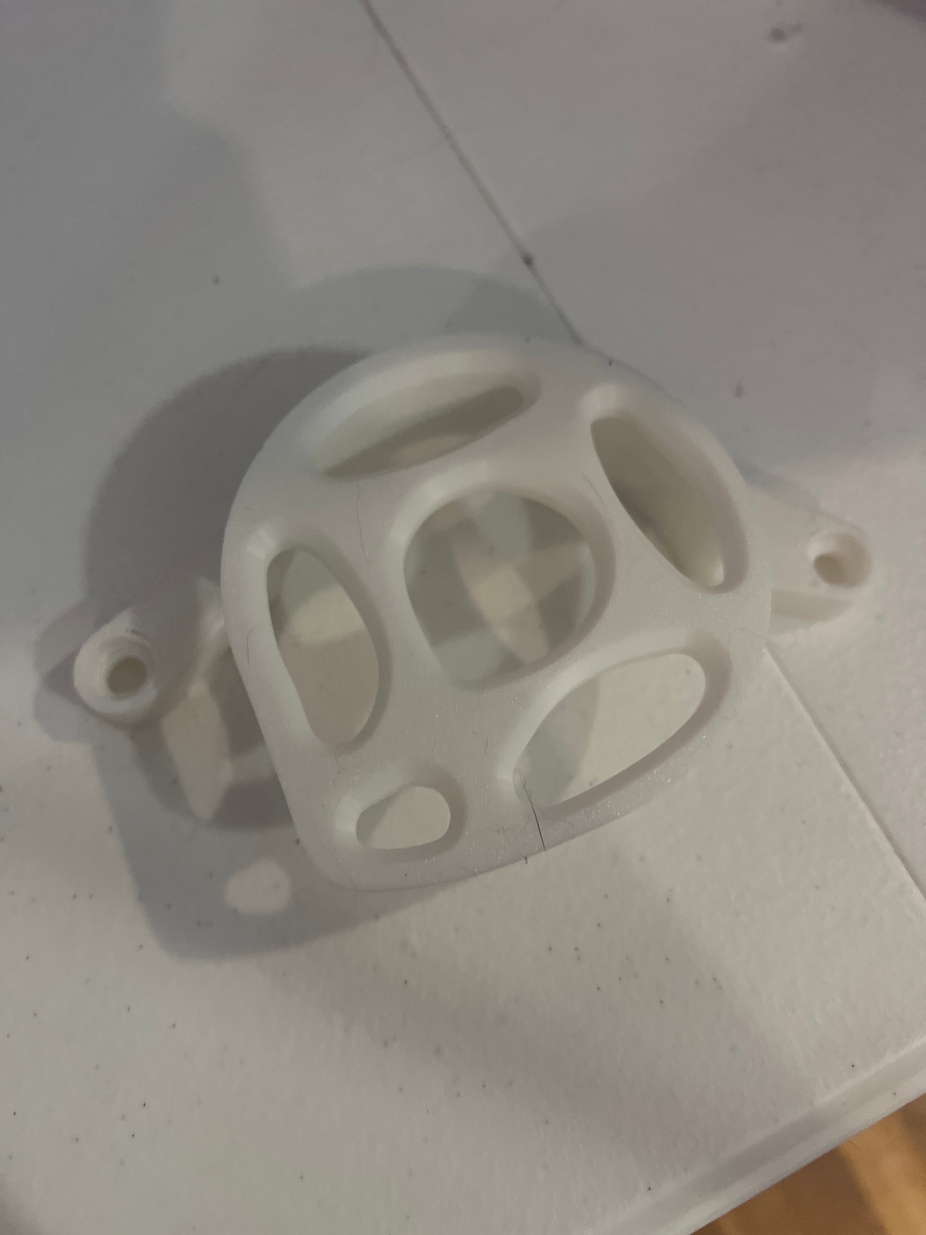Surron Lbx eride motor cover
